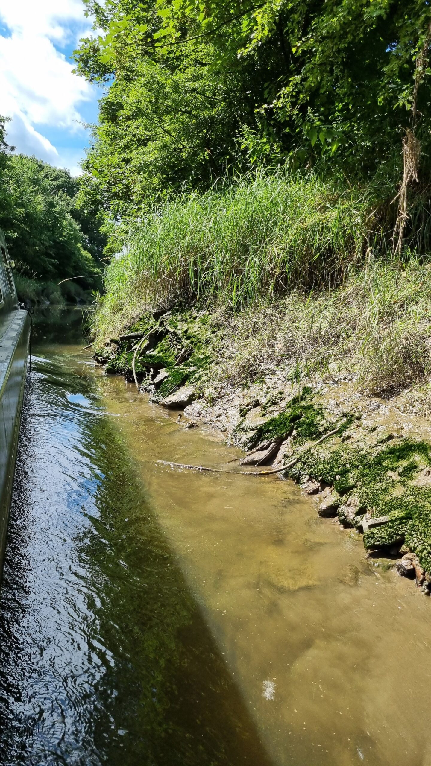 Savick Brook