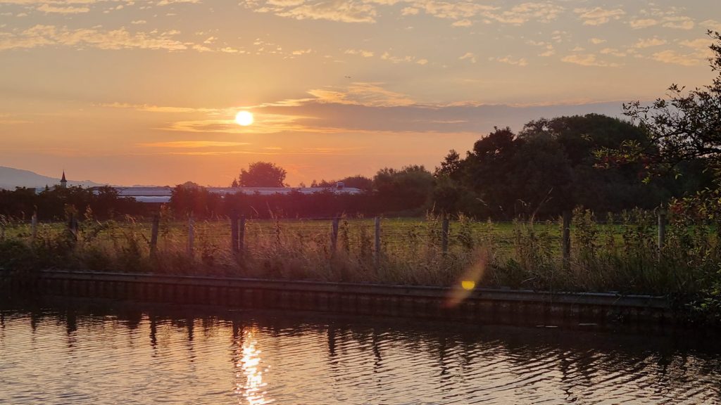 Barton Grange sunset