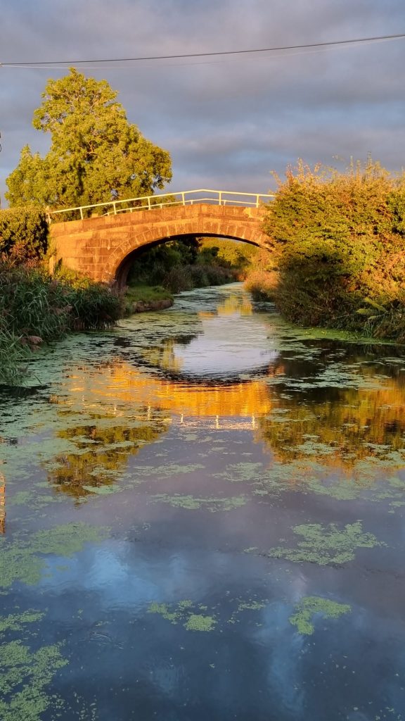 Bilsborrow bridge autumn