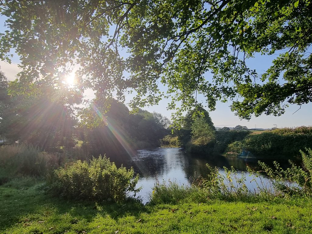 view on the Lancaster canal living on the narrowboat in summer 2023