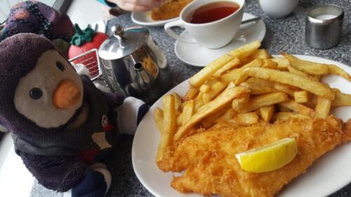 Percy with a HUGE fish and chips