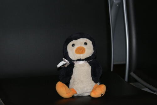 Percy in best penguin suit