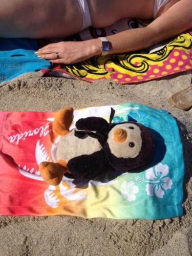 Sunbathing on his own beach towel