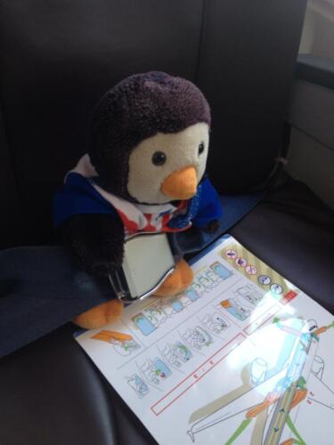 Percy reading the safety card before the flight.